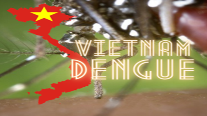 Vietnam dengue fever update: 224,771 cases, 92 deaths