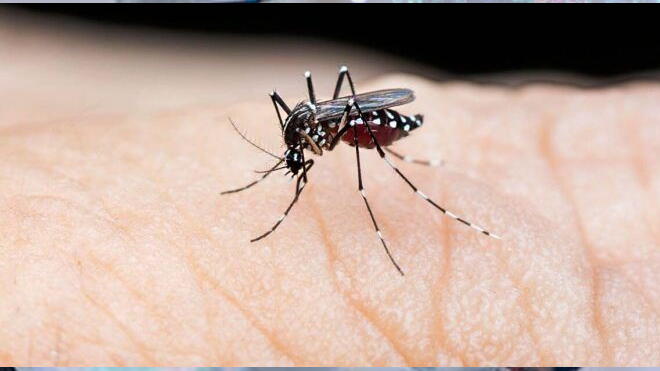 Laos sees sharp increase in dengue fever cases in 2022