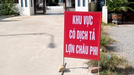 African swine fever reported in Ha Tinh Province, Vietnam