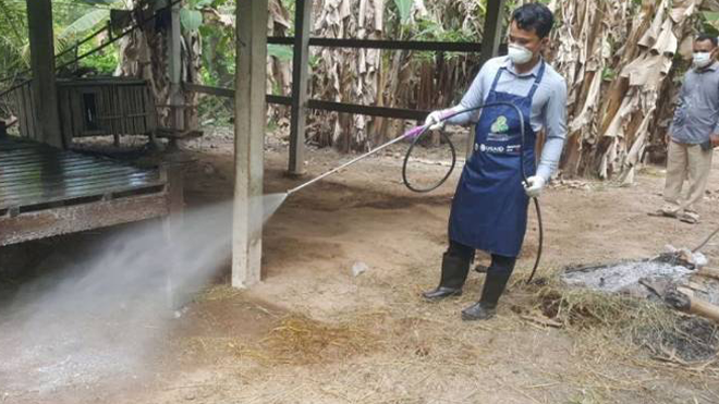 100 ducks culled in Kampot province, Cambodia to prevent bird flu